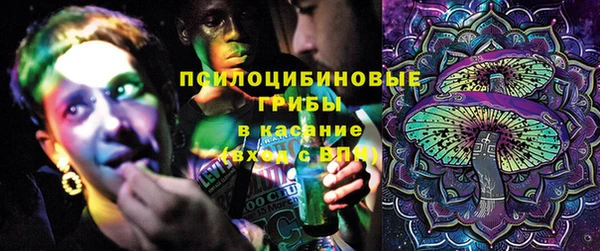 дурь Абаза